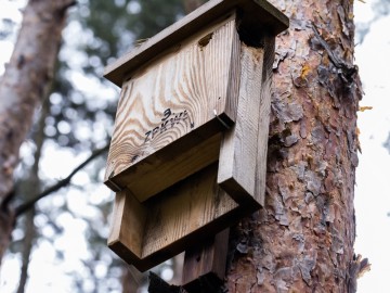 Letnie działania w Przedborskim Parku Krajobrazowym 2025, 